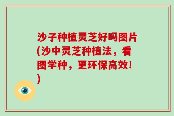 沙子种植灵芝好吗图片(沙中灵芝种植法，看图学种，更环保高效！)