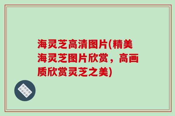 海灵芝高清图片(精美海灵芝图片欣赏,高画质欣赏灵芝之美)
