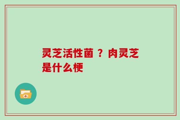 灵芝活性菌 ?肉灵芝是什么梗