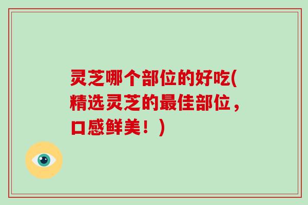 灵芝哪个部位的好吃(精选灵芝的最佳部位,口感鲜美!)