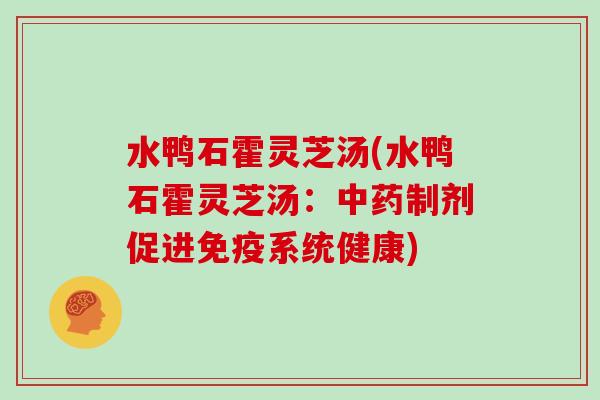 水鸭石霍灵芝汤(水鸭石霍灵芝汤：中药制剂促进免疫系统健康)