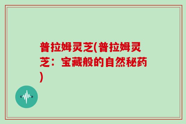 普拉姆灵芝(普拉姆灵芝:宝藏般的自然秘药)