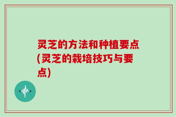 灵芝的方法和种植要点(灵芝的栽培技巧与要点)