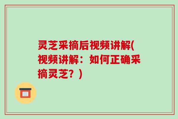 灵芝采摘后视频讲解(视频讲解:如何正确采摘灵芝?)