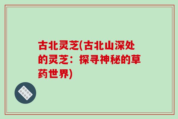 古北灵芝(古北山深处的灵芝:探寻神秘的草药世界)