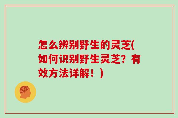 怎么辨别野生的灵芝(如何识别野生灵芝?有效方法详解!)