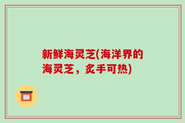 新鲜海灵芝(海洋界的海灵芝,炙手可热)