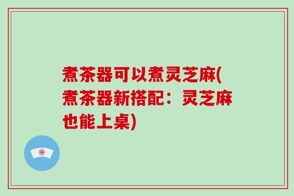 煮茶器可以煮灵芝麻(煮茶器新搭配：灵芝麻也能上桌)