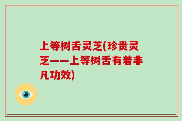 上等树舌灵芝(珍贵灵芝——上等树舌有着非凡功效)