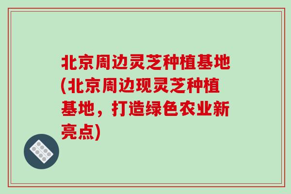 北京周边灵芝种植基地(北京周边现灵芝种植基地,打造绿色农业新亮点)