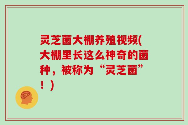 灵芝菌大棚养殖视频(大棚里长这么神奇的菌种，被称为“灵芝菌”！)