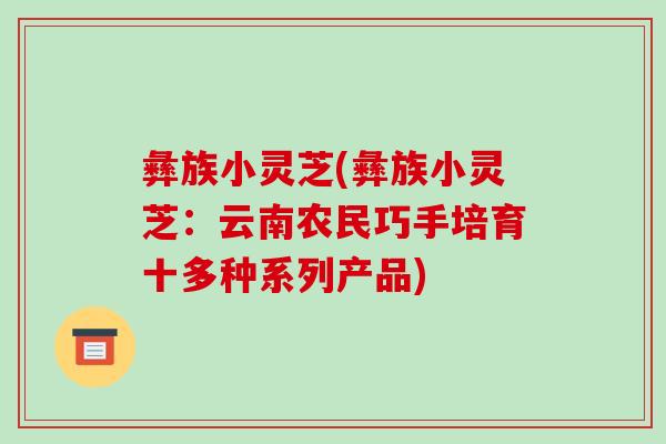 彝族小灵芝(彝族小灵芝:云南农民巧手培育十多种系列产品)