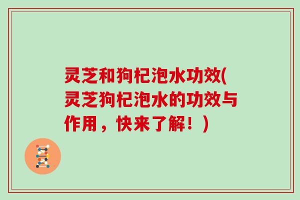 灵芝和狗杞泡水功效(灵芝狗杞泡水的功效与作用,快来了解!)