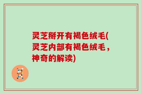 灵芝掰开有褐色绒毛(灵芝内部有褐色绒毛，神奇的解读)