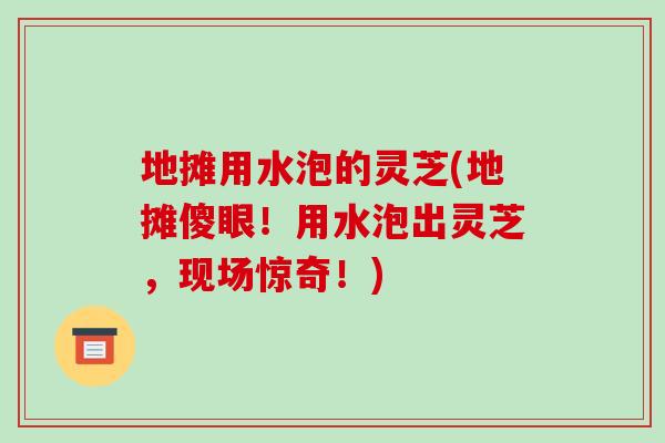 地摊用水泡的灵芝(地摊傻眼!用水泡出灵芝,现场惊奇!)