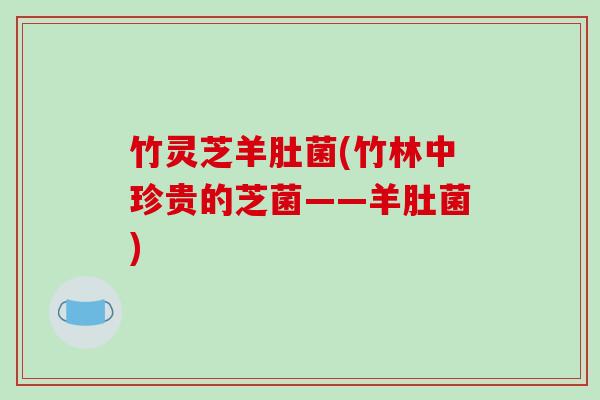 竹灵芝羊肚菌(竹林中珍贵的芝菌——羊肚菌)