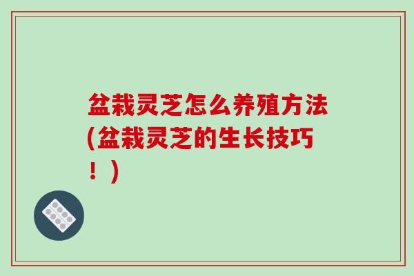 盆栽灵芝怎么养殖方法(盆栽灵芝的生长技巧！)