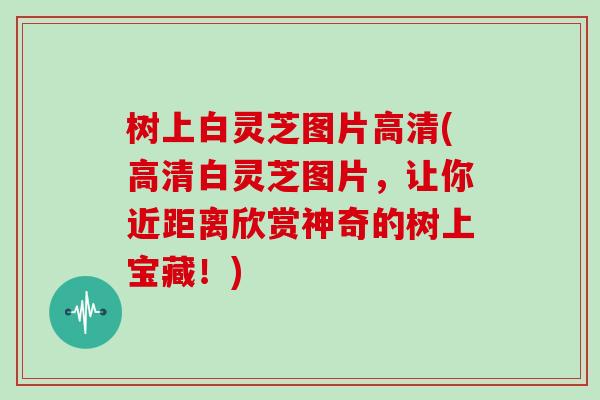 树上白灵芝图片高清(高清白灵芝图片，让你近距离欣赏神奇的树上宝藏！)