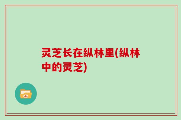 灵芝长在纵林里(纵林中的灵芝)