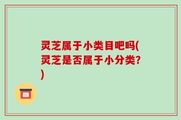 灵芝属于小类目吧吗(灵芝是否属于小分类?)