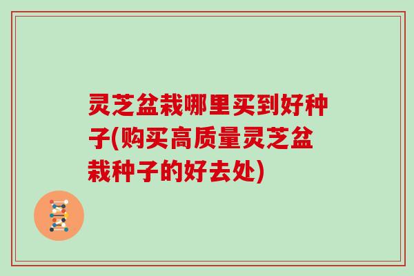 灵芝盆栽哪里买到好种子(购买高质量灵芝盆栽种子的好去处)
