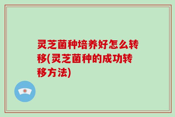 灵芝菌种培养好怎么转移(灵芝菌种的成功转移方法)