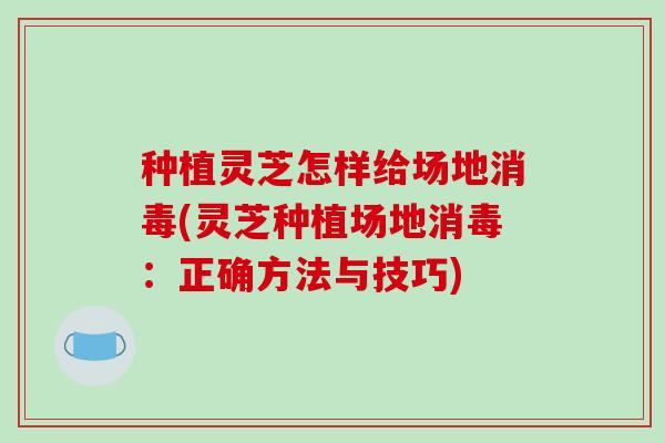 种植灵芝怎样给场地消毒(灵芝种植场地消毒:正确方法与技巧)