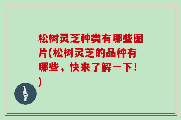 松树灵芝种类有哪些图片(松树灵芝的品种有哪些,快来了解一下!)