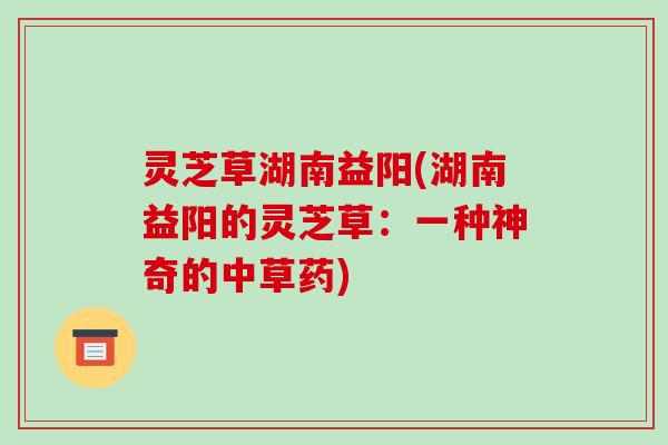 灵芝草湖南益阳(湖南益阳的灵芝草:一种神奇的中草药)