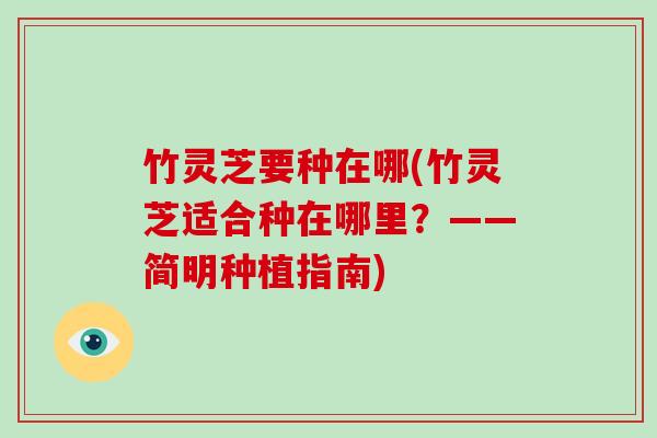 竹灵芝要种在哪(竹灵芝适合种在哪里?——简明种植指南)