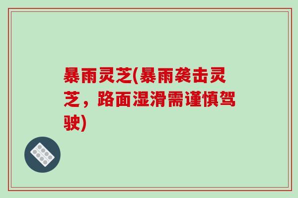 暴雨灵芝(暴雨袭击灵芝,路面湿滑需谨慎驾驶)