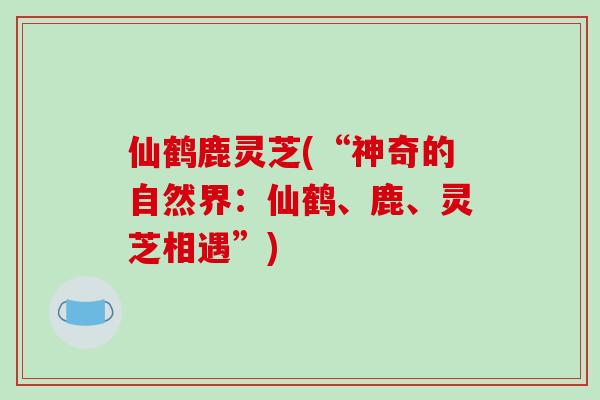 仙鹤鹿灵芝(“神奇的自然界:仙鹤、鹿、灵芝相遇”)