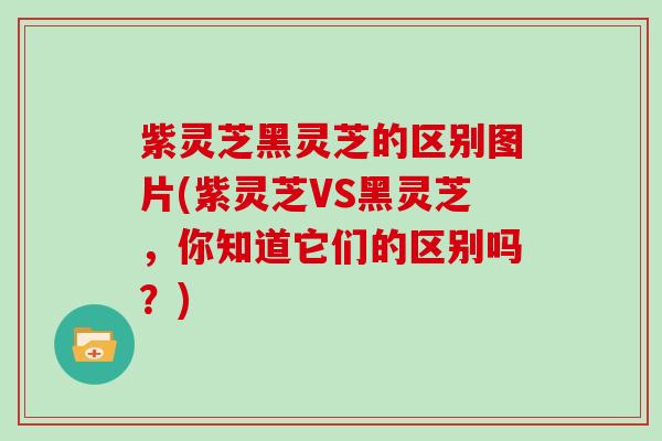 紫灵芝黑灵芝的区别图片(紫灵芝VS黑灵芝,你知道它们的区别吗?)