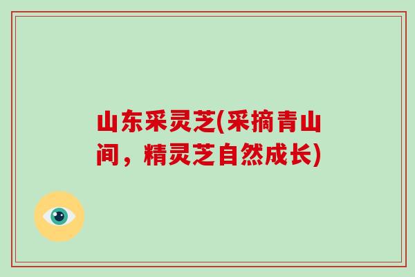 山东采灵芝(采摘青山间,精灵芝自然成长)