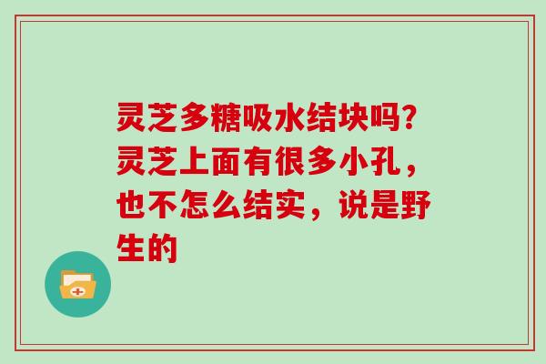 灵芝多糖吸水结块吗?灵芝上面有很多小孔,也不怎么结实,说是野生的