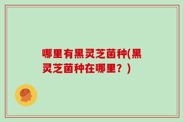哪里有黑灵芝菌种(黑灵芝菌种在哪里?)