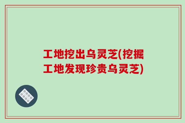 工地挖出乌灵芝(挖掘工地发现珍贵乌灵芝)