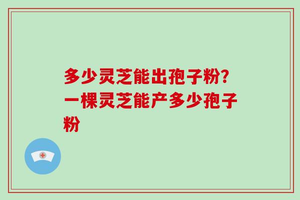 多少灵芝能出孢子粉？一棵灵芝能产多少孢子粉