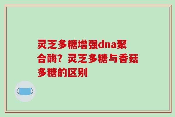 灵芝多糖增强dna聚合酶?灵芝多糖与香菇多糖的区别