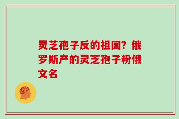 灵芝孢子反的祖国？俄罗斯产的灵芝孢子粉俄文名