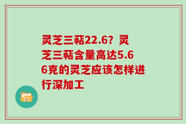 灵芝三萜22.6？灵芝三萜含量高达5.66克的灵芝应该怎样进行深加工