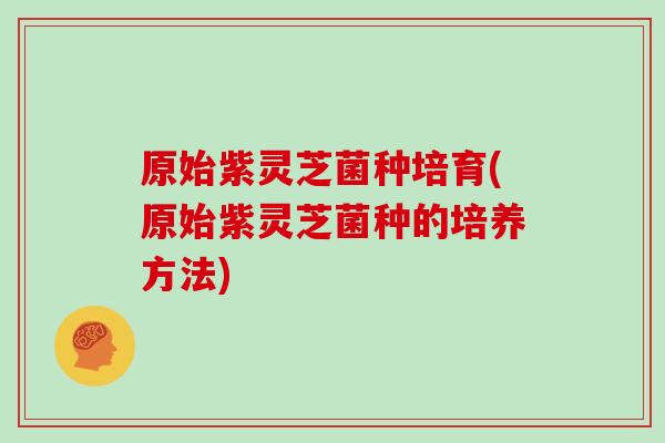 原始紫灵芝菌种培育(原始紫灵芝菌种的培养方法)