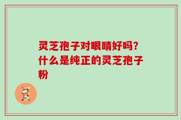 灵芝孢子对眼睛好吗?什么是纯正的灵芝孢子粉