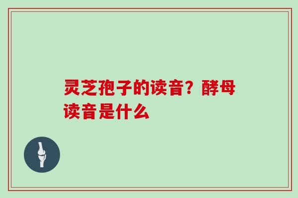 灵芝孢子的读音？酵母读音是什么