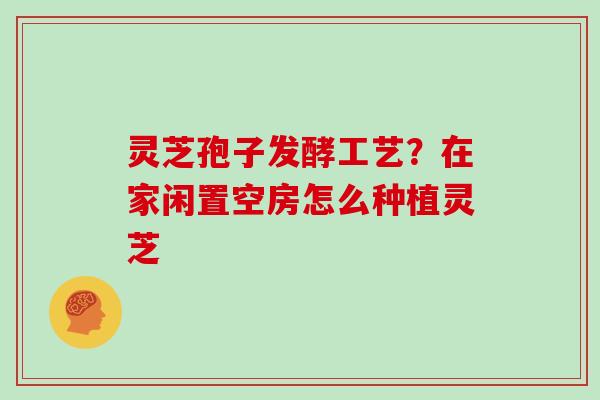 灵芝孢子发酵工艺?在家闲置空房怎么种植灵芝