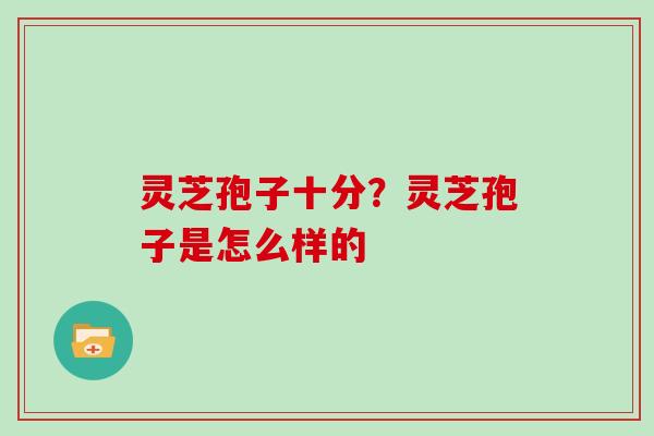 灵芝孢子十分?灵芝孢子是怎么样的