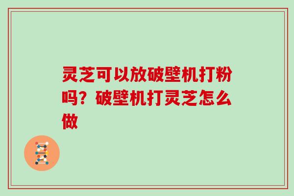 灵芝可以放破壁机打粉吗？破壁机打灵芝怎么做