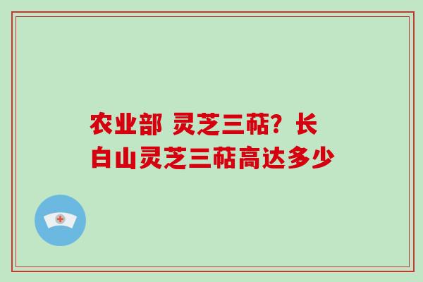 农业部 灵芝三萜?长白山灵芝三萜高达多少
