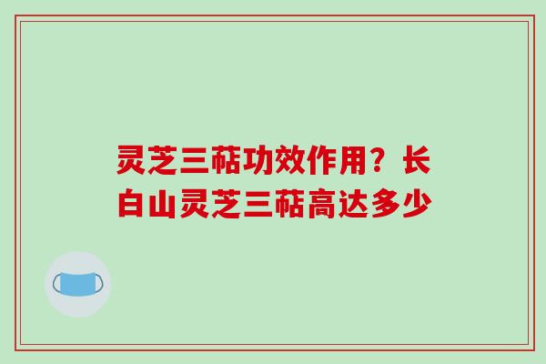 灵芝三萜功效作用?长白山灵芝三萜高达多少