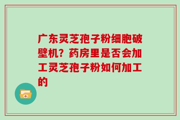 广东灵芝孢子粉细胞破壁机?药房里是否会加工灵芝孢子粉如何加工的